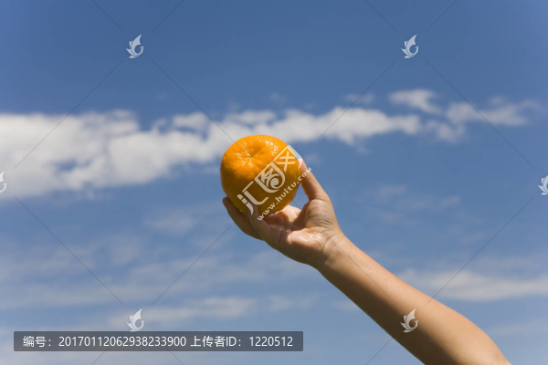 在天空的背景上保持橙色