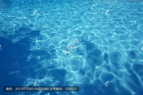 游泳池的水