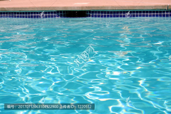 游泳池的水