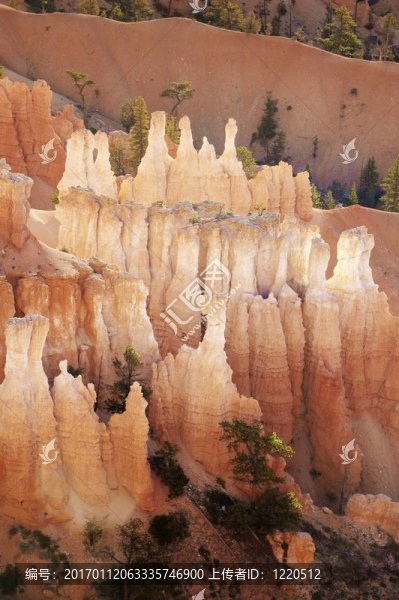 小城堡-匯圖網(wǎng) www.fosd68.com 小城堡