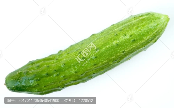 黃瓜