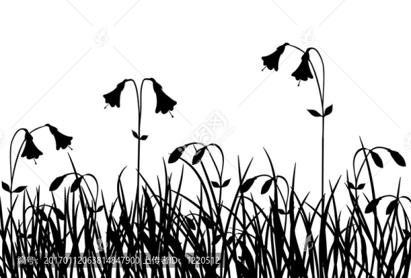 草與花；載體