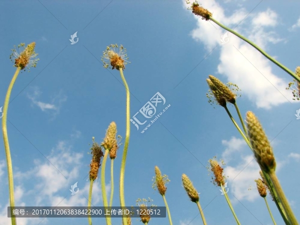 向天空