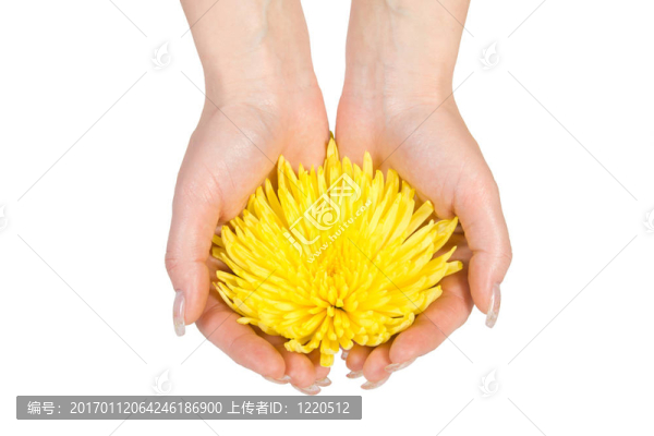 手