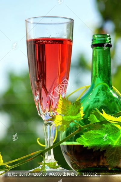 ROS脙漏酒