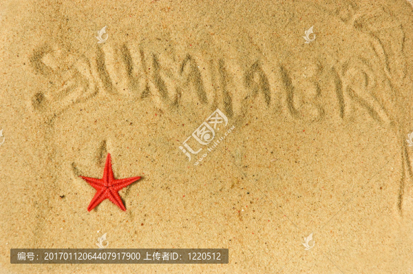 沙灘上的夏天寫作