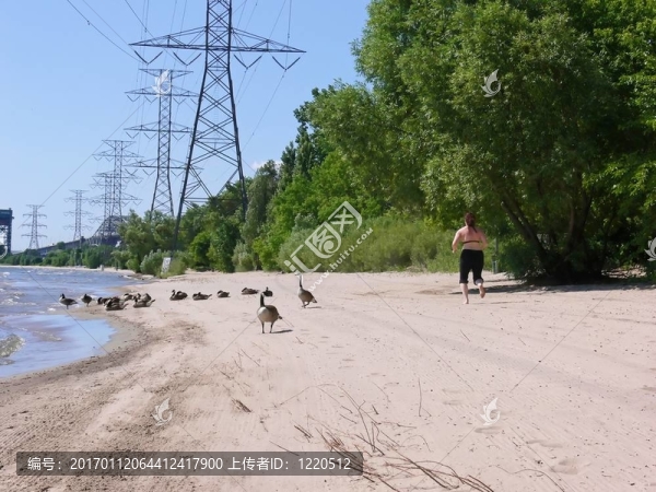 清晨7海灘