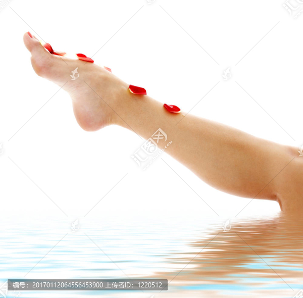 腿上有紅玫瑰花瓣的水