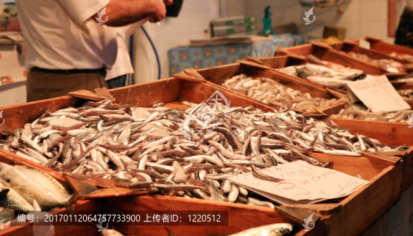 在市場(chǎng)沙丁油魚(yú)-匯圖網(wǎng) www.fosd68.com 在市場(chǎng)沙丁油魚(yú)