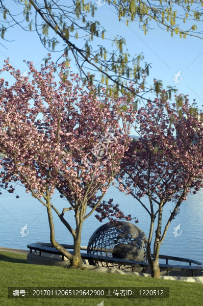 堪培拉的地標(biāo)-匯圖網(wǎng) www.fosd68.com 堪培拉的地標(biāo)