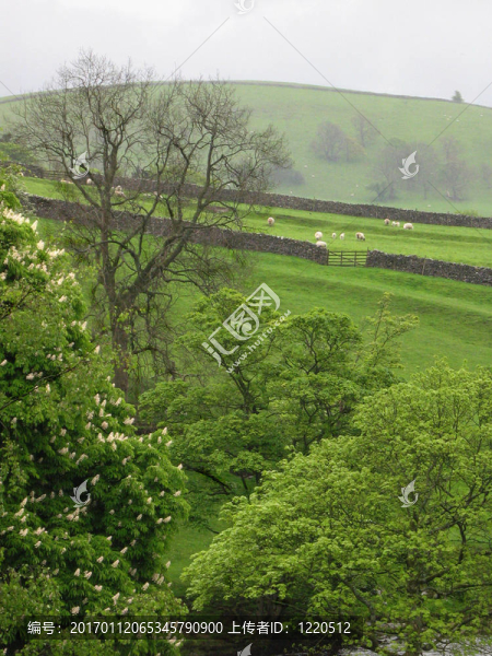 朦朧的鄉(xiāng)村景觀