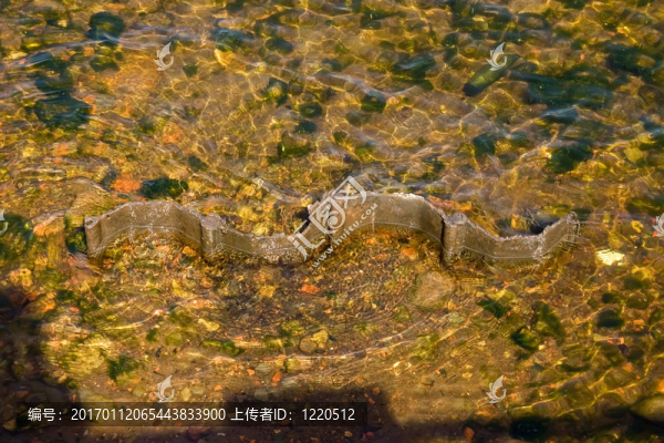 河床