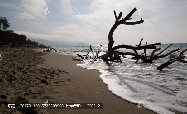 雷尼亞海