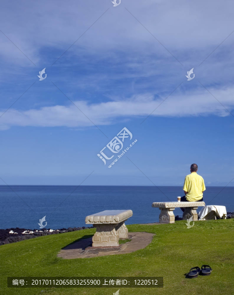 夏威夷的夢想家