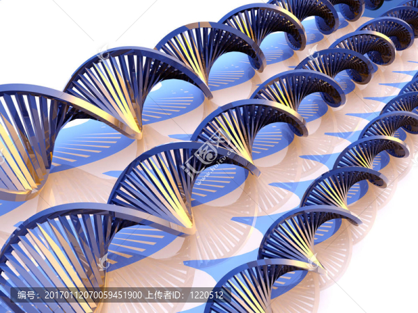 金屬DNA