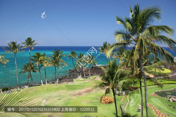 夏威夷科納海灘