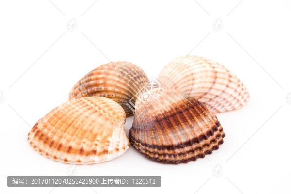四彈