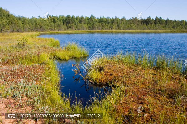 小湖沿岸