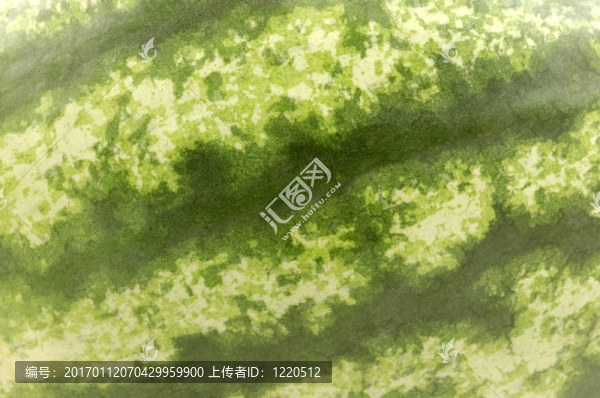 西瓜表面