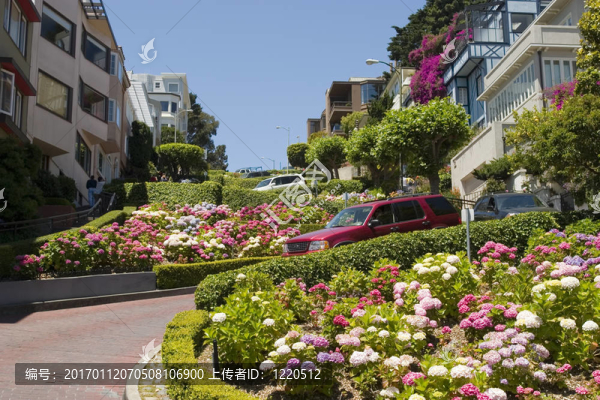 舊金山花街