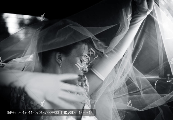 美麗的新娘-匯圖網(wǎng) www.fosd68.com 美麗的新娘