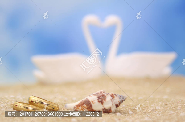 結(jié)婚戒指和貝殼