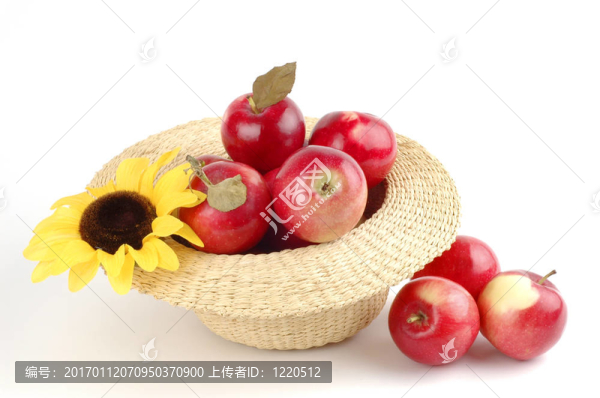 新鮮采摘的蘋(píng)果