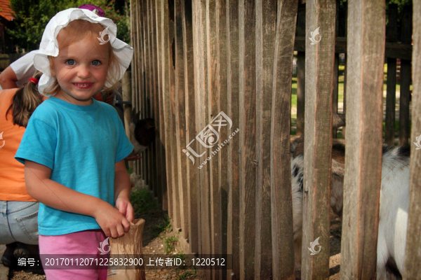 飼養(yǎng)動(dòng)物