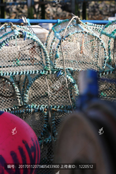 去釣魚