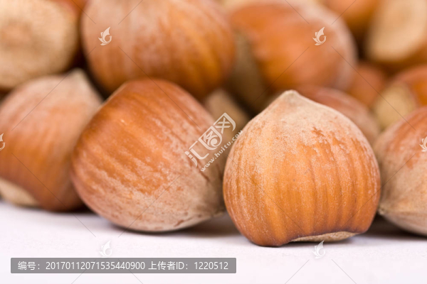 榛子特寫孤立在白色背景