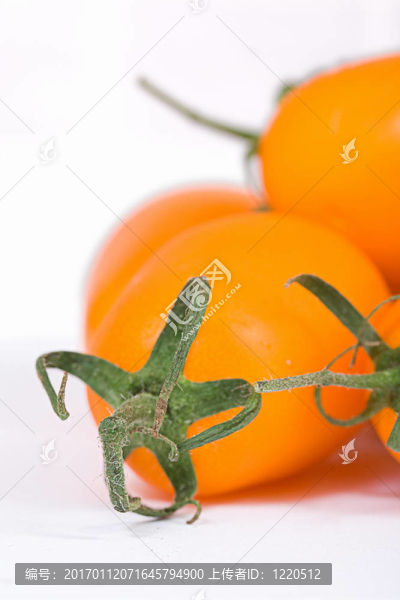 鮮黃色的西紅柿在白