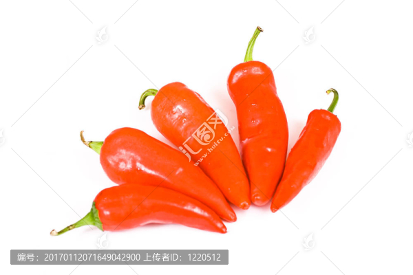 紅辣椒辣椒在白色