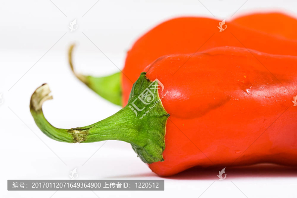 紅辣椒辣椒在白色