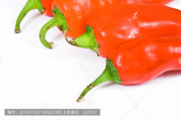 紅辣椒辣椒在白色