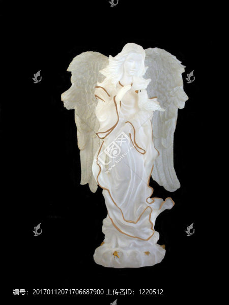 角的鴿子-匯圖網(wǎng) www.fosd68.com 角的鴿子