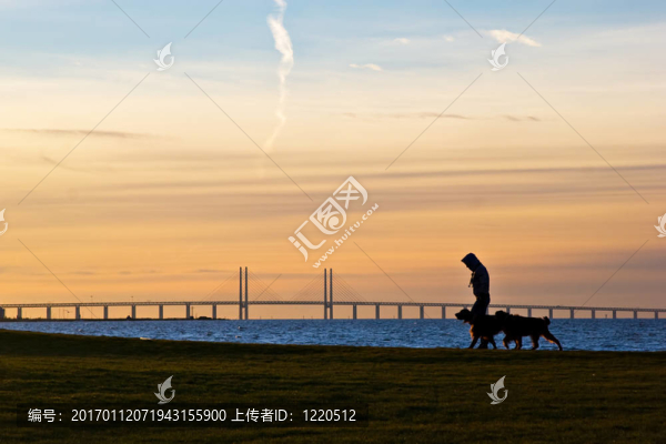 散步的狗