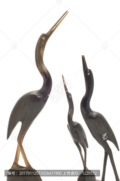 鸛