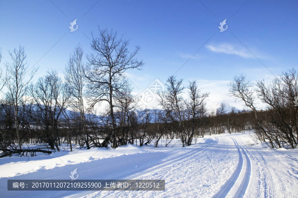越野滑雪道