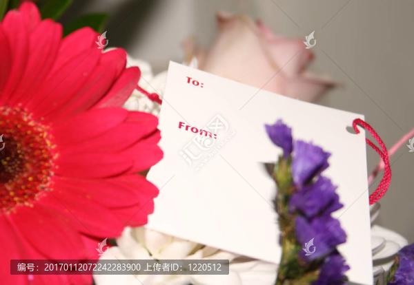 送一束鮮花