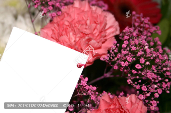 送一束鮮花