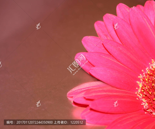 送一束鮮花