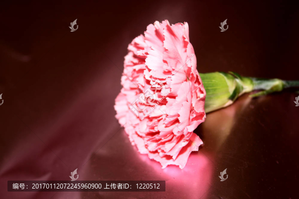送一束鮮花