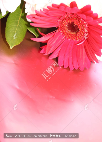 送一束鮮花