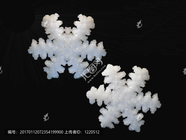 冬天的雪花