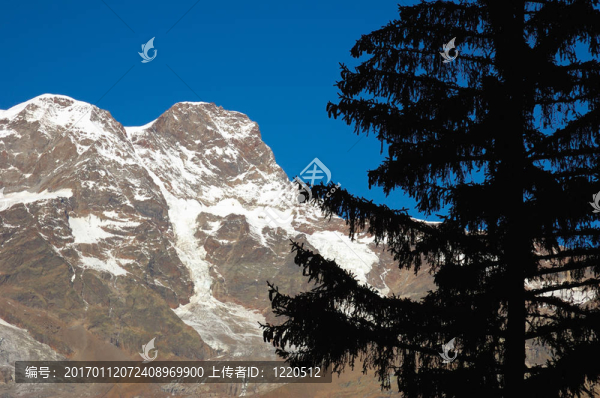山