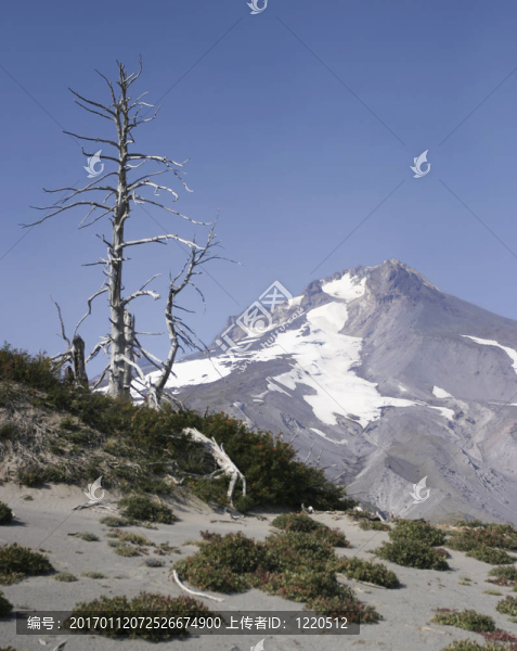 阿爾卑斯山的高山觀