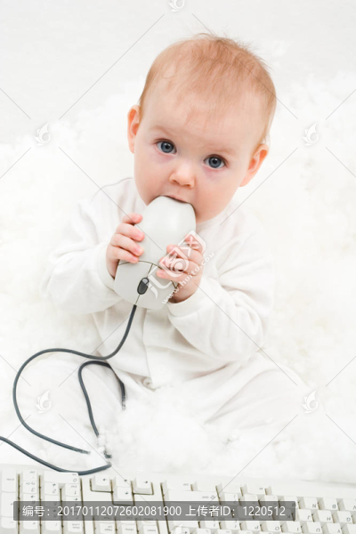 電腦寶貝