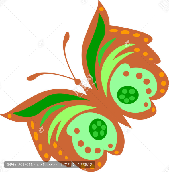 蝴蝶-匯圖網(wǎng) www.fosd68.com 蝴蝶