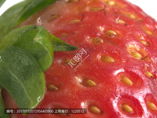 strawberrry干