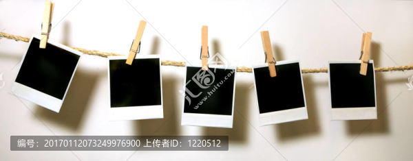 掛寶麗來論文